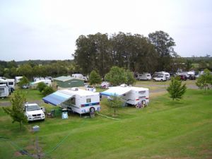 Dawson River Tourist Park - Accommodation QLD