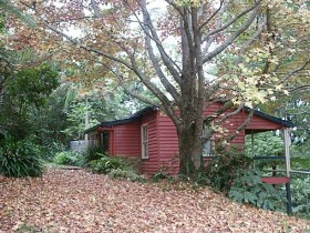 Turkeys Nest Rainforest Cottage - Accommodation QLD