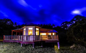 Noosa Avalon Farm Cottages - Accommodation QLD